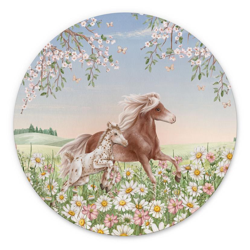 Tableaux Chevaux dans un pré fleuri - Kikki Belle - Alu-Dibond Rond