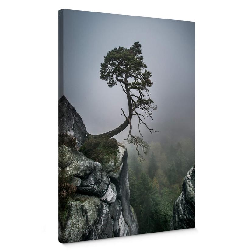 Tableau sur toile Wonisch - Force de la nature