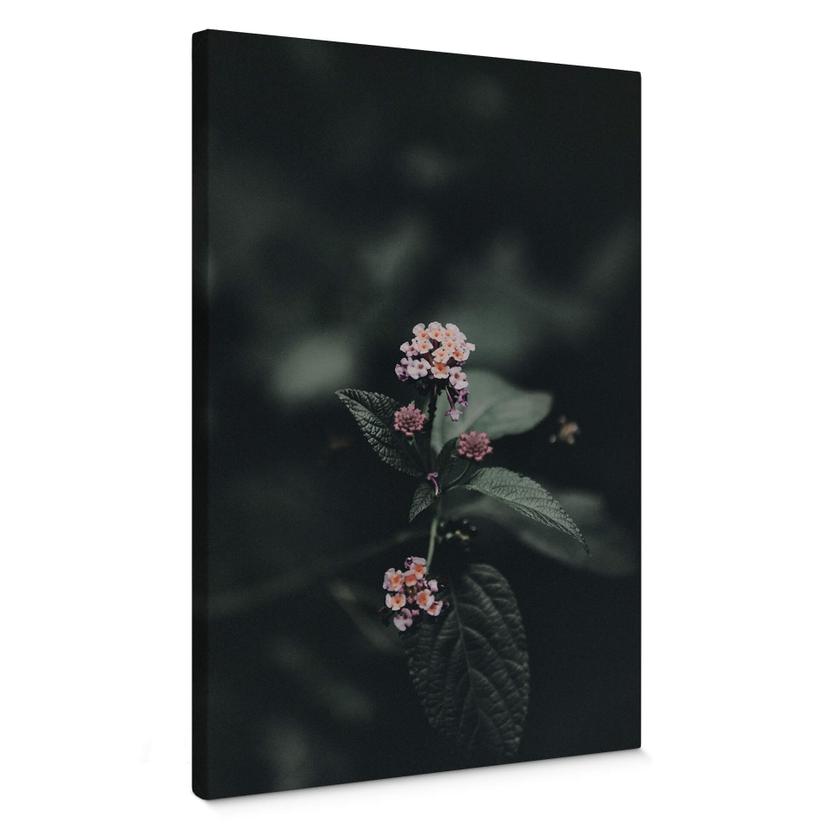 Tableau sur toile Délicate fleur rose