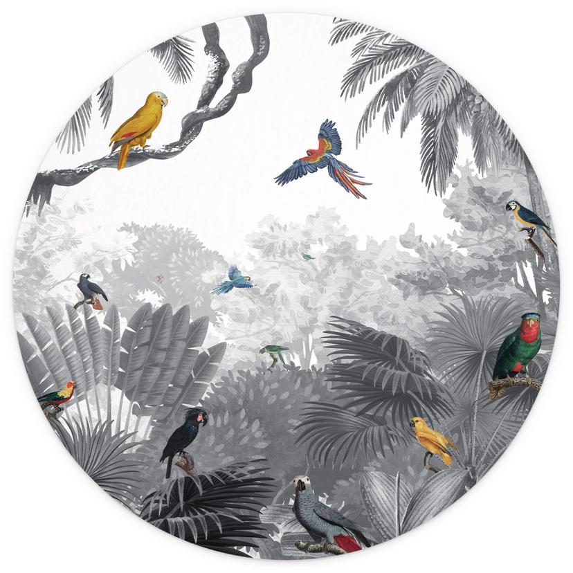 Behangcirkel Kikki Belle - Tropische Vogels in het zwart wit - vliesbehang/zelfklevend vliesbehang