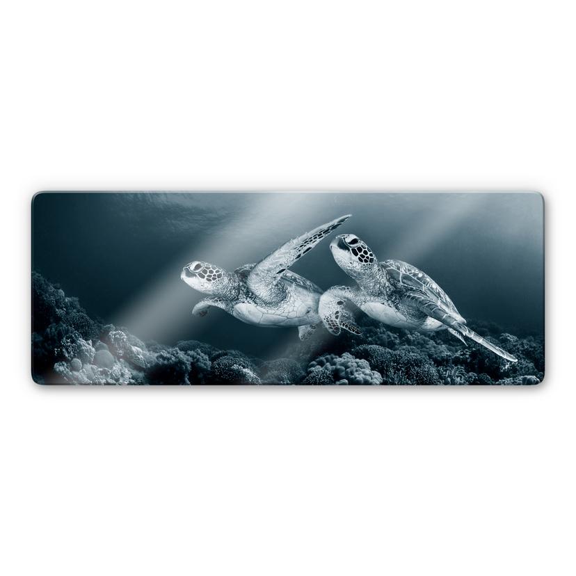 Tableau sur verre Narchuk - Deux tortues en voyage - Panorama