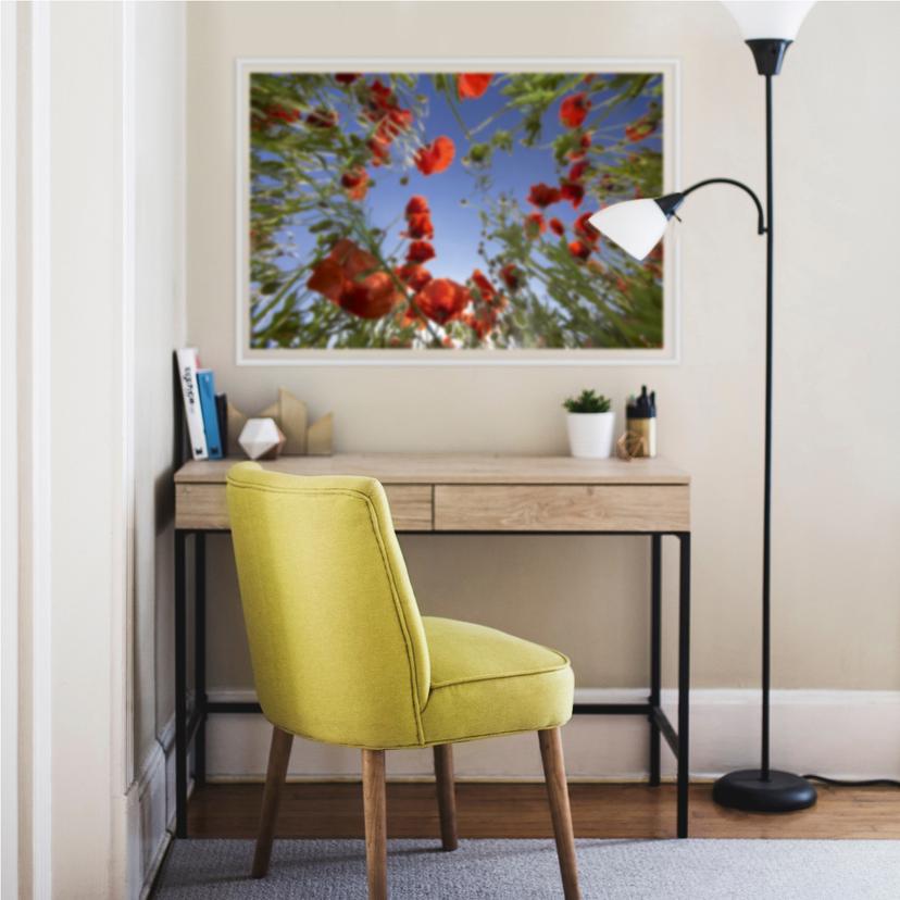 Poster autocollant - W - Champ de Coquelicots