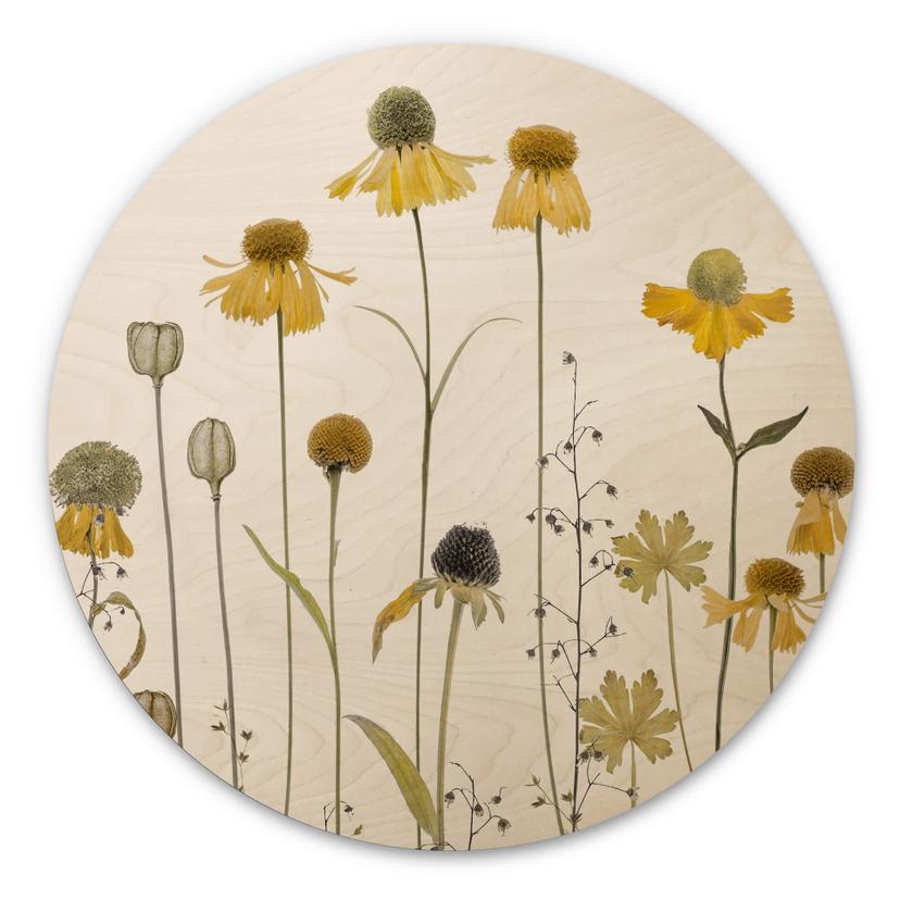 Flores Cuadro de madera Girasol - Redondo - Disher