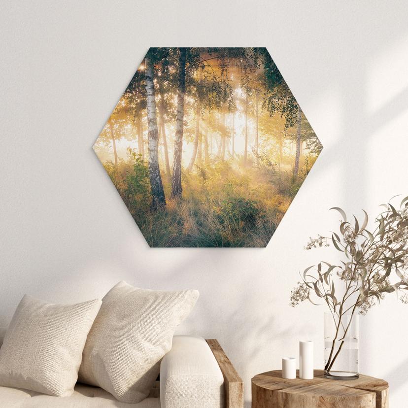 Esagono Alu-Dibond Il sole nella foresta di betulle - Kado