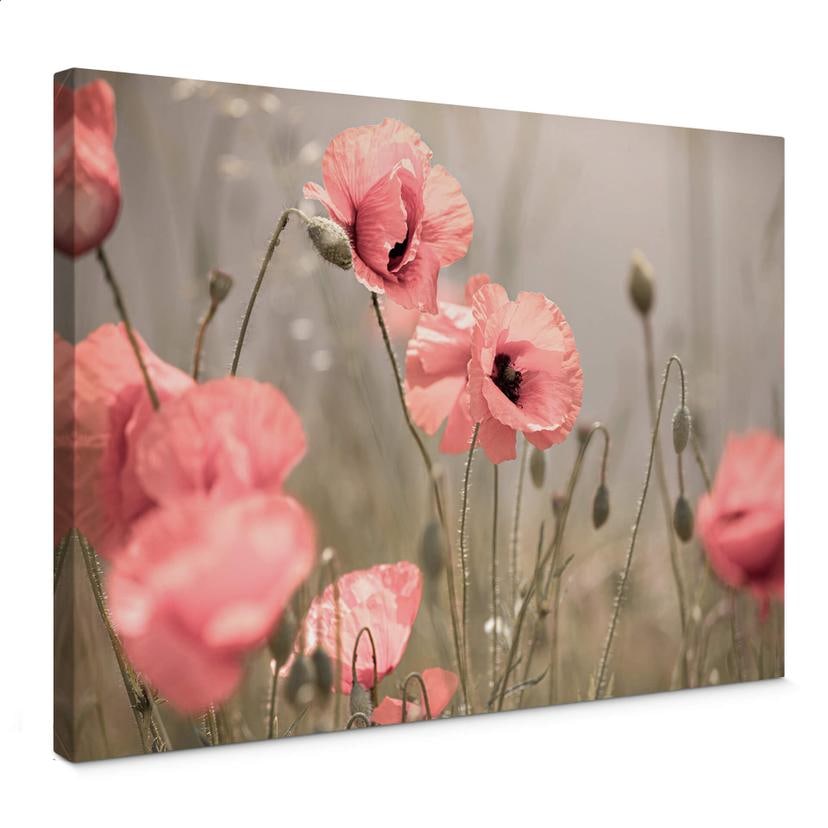 Tableau sur toile Delgado - Fleur de coquelicot romantique