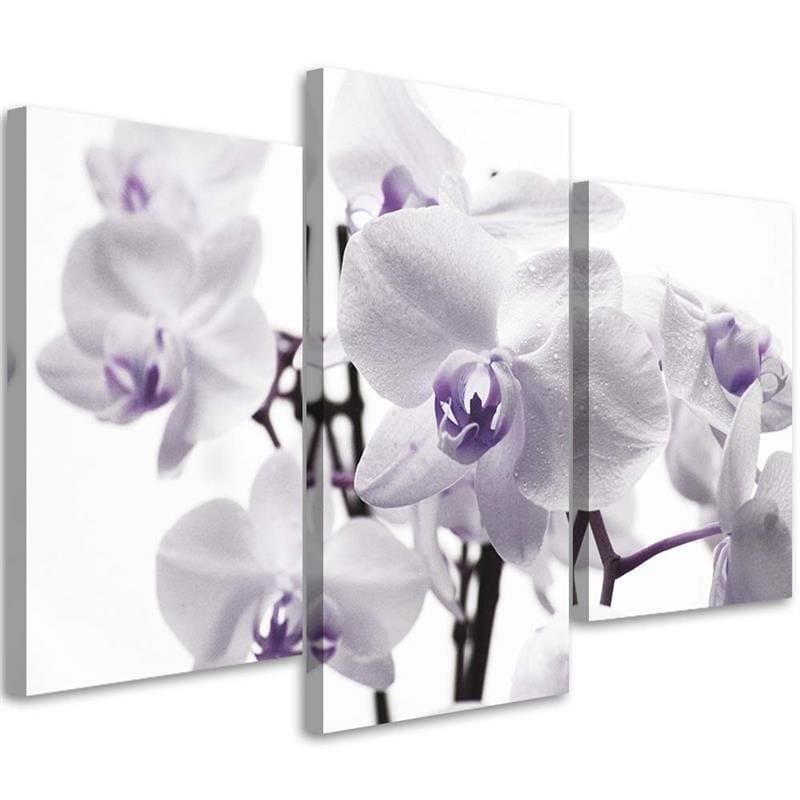 3 stykke lærredsprint, Orchid Blossom Purple