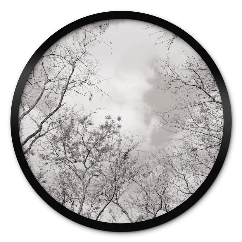 Plakat High in the Trees
