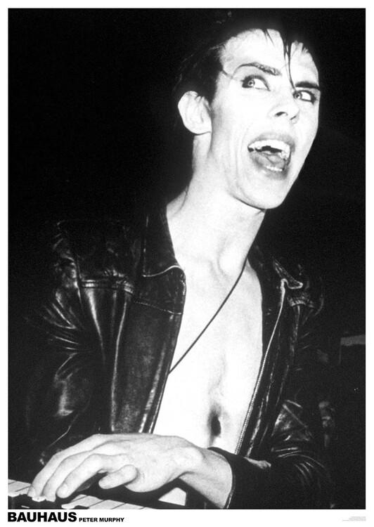Poster Peter Murphy of Bauhaus, affiche (59,4 x 84,1 cm)