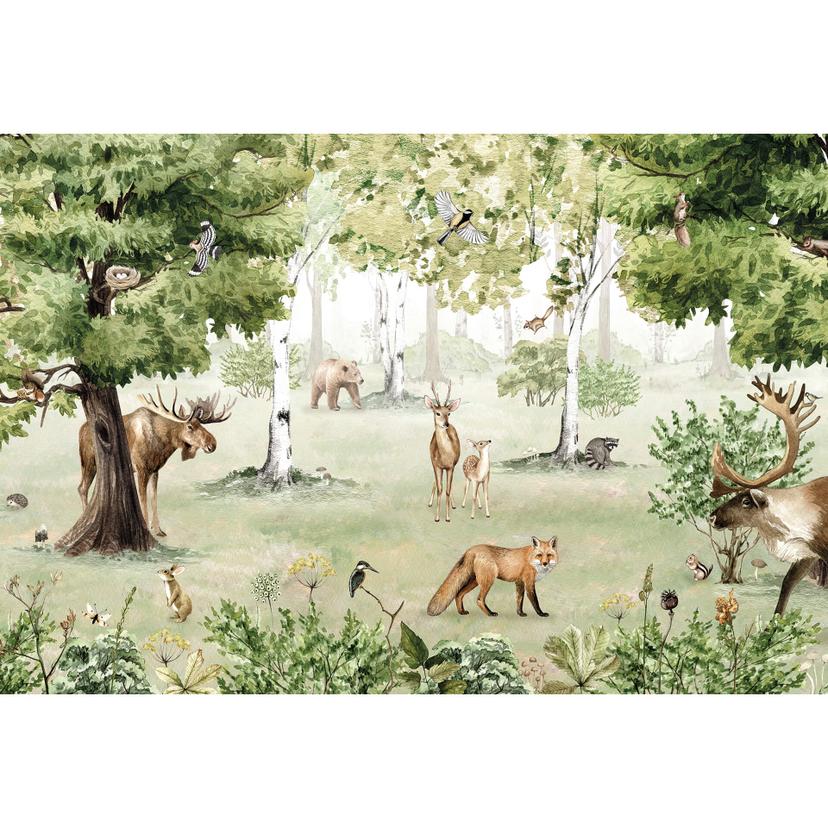 Kikki Belle - Fototapet för underverk i skogen