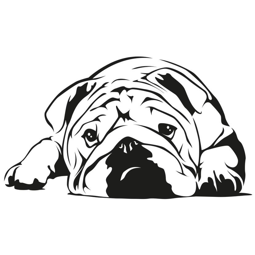 Adesivo murale - Bulldog inglese