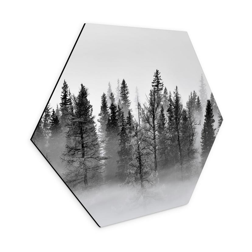 Hexagon Dibond Xu - Foggy Forest