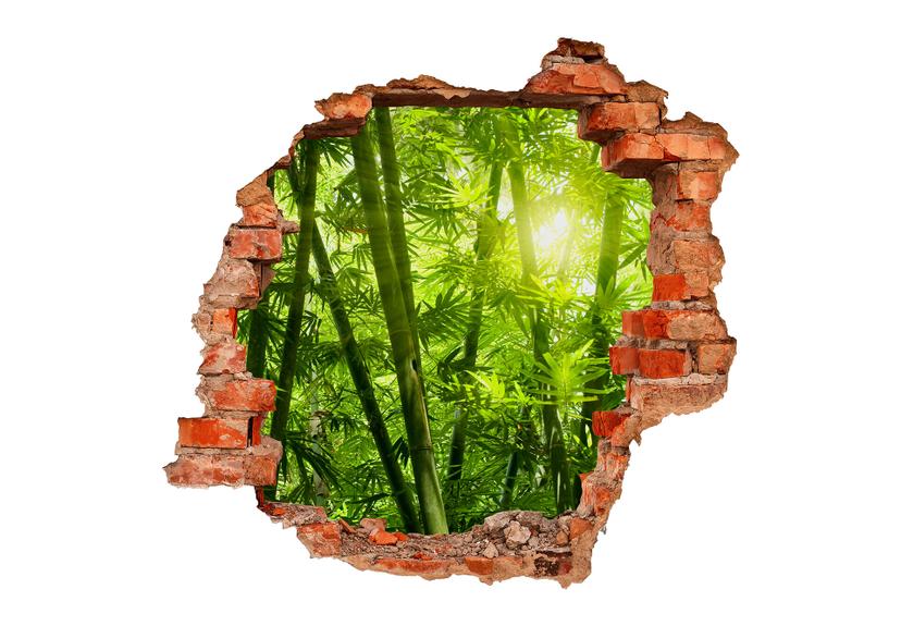 Adesivo 3D – Foresta di bambù
