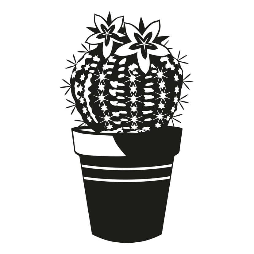 Adesivo murale - Cactus 3