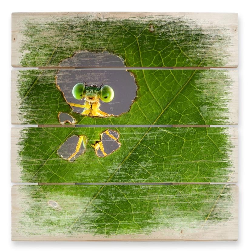 Cuadro de madera Wilianto - Hola amiguito - 40x41,5 cm