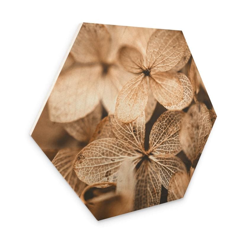 Hexagone - Bois Annie - Fleurs délicates