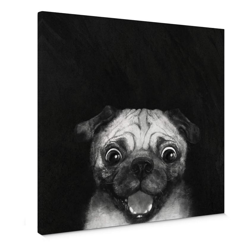 Cuadro lienzo Graves - Snuggle Pug