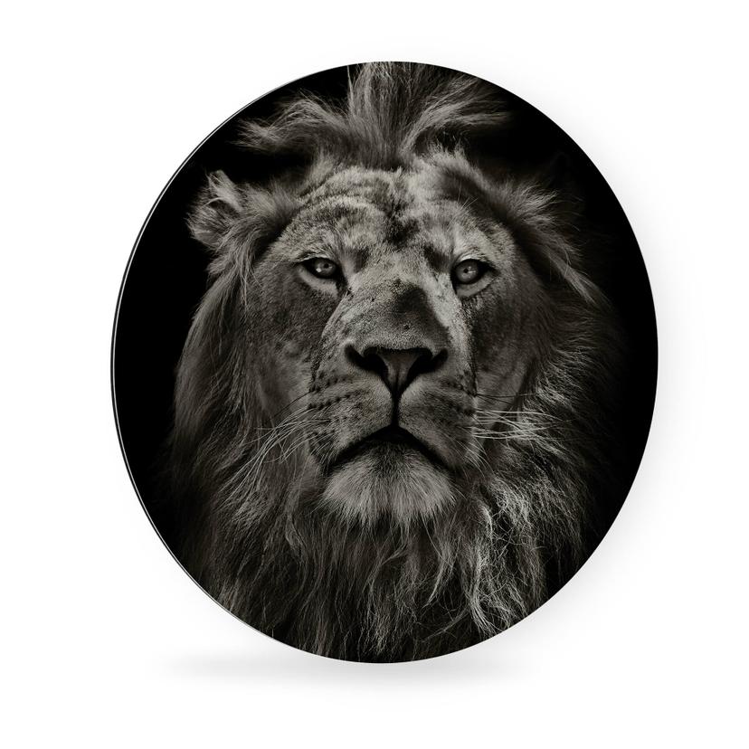 Tableau en Alu-Dibond Lion - Rond