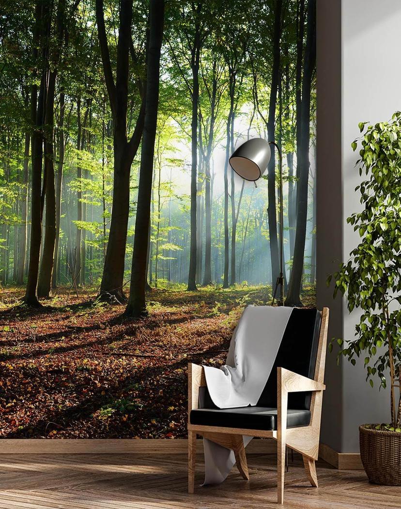 Fototapete, Morgen in einem grünen Wald