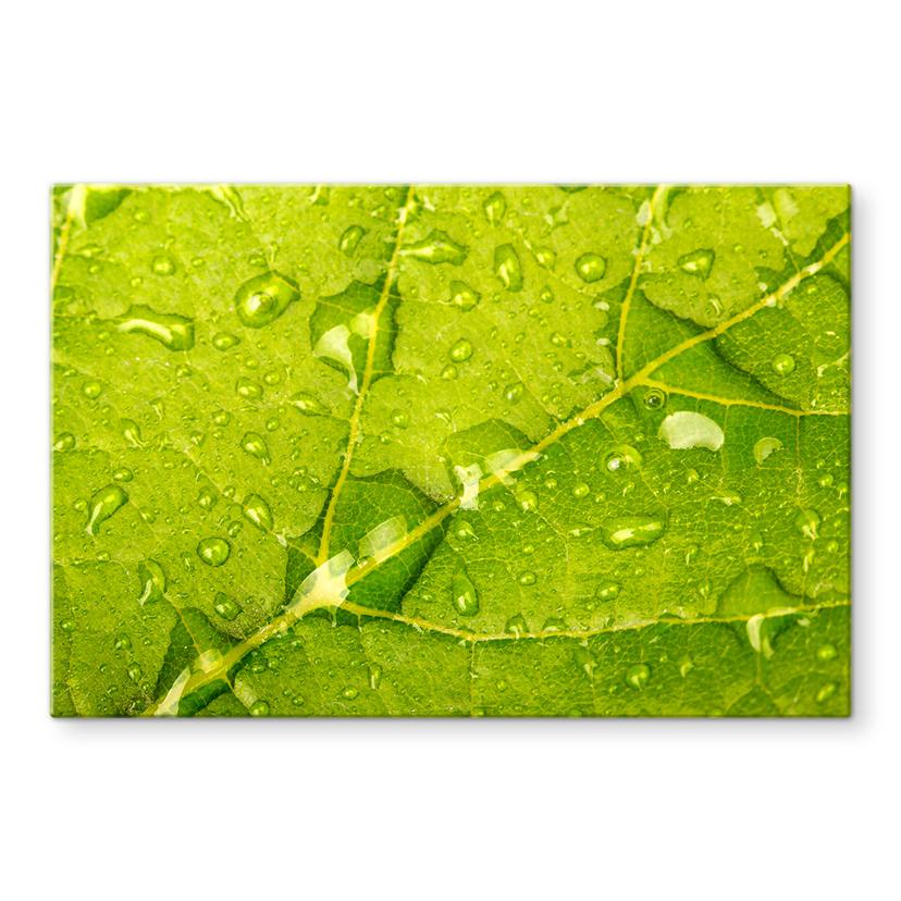 Spatscherm Waterdruppels