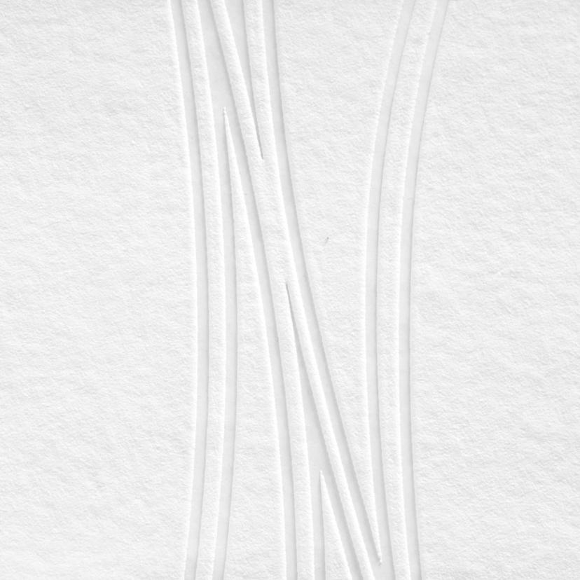 A.S. Création - carta da parati in TNT verniciabile Meistervlies Pro Protect 2 colore bianco