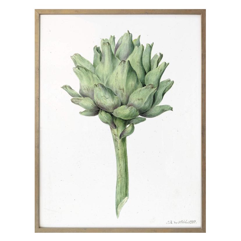 Póster Bernard - Alcachofa