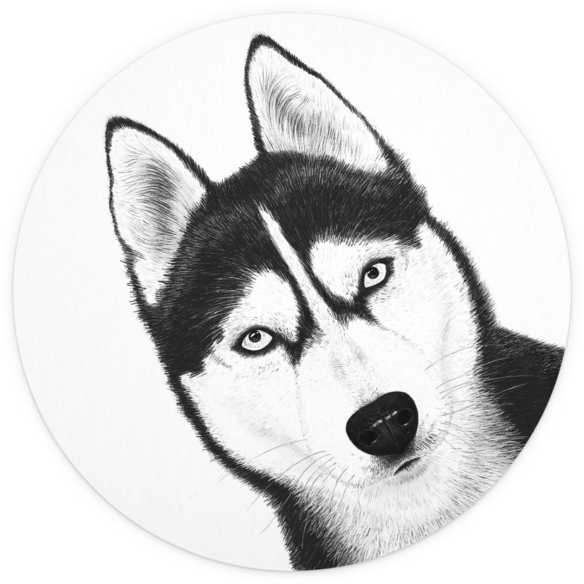 Muurschildering Siberische husky - hondenportret - Korenkova - Rond - - vliesbehang/zelfklevend vlie