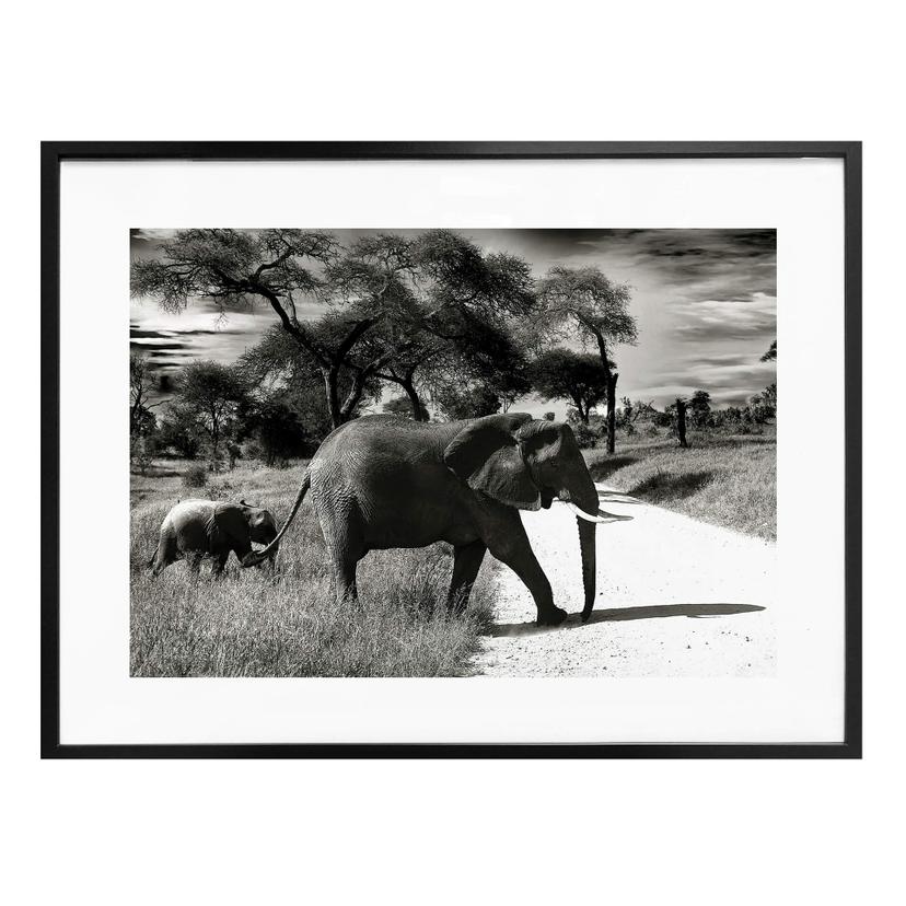 Poster L’éléphant et son enfant