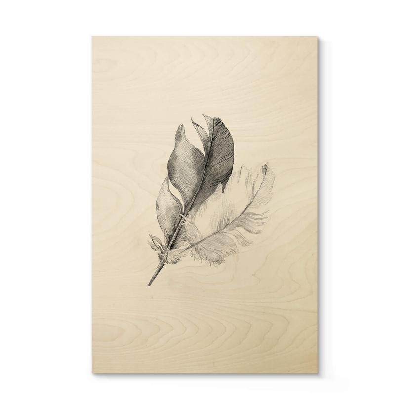 Tableau sur bois Plumes
