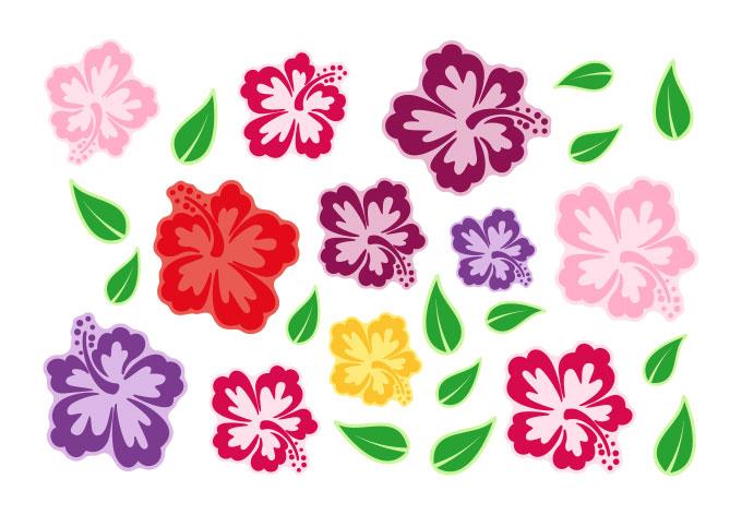 Fönsterbild hibiskusblommor