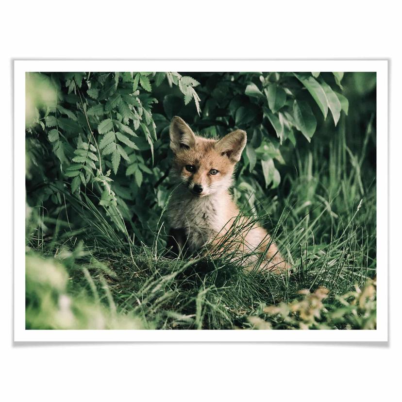 Poster Alone in the forest