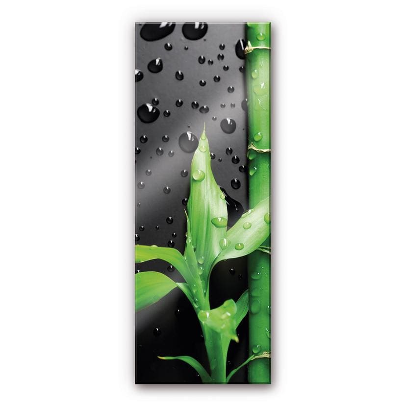 Tableau en verre acrylique - Bamboo Over Balck - Panorama