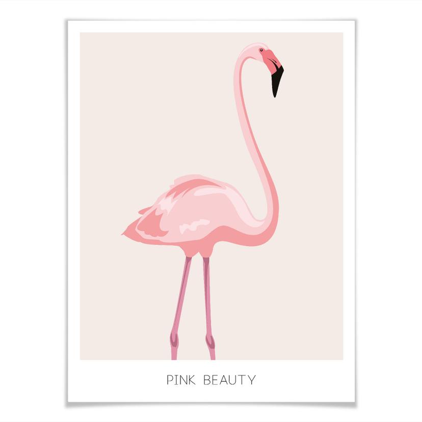 Poster Pink Beauty - Flamingo