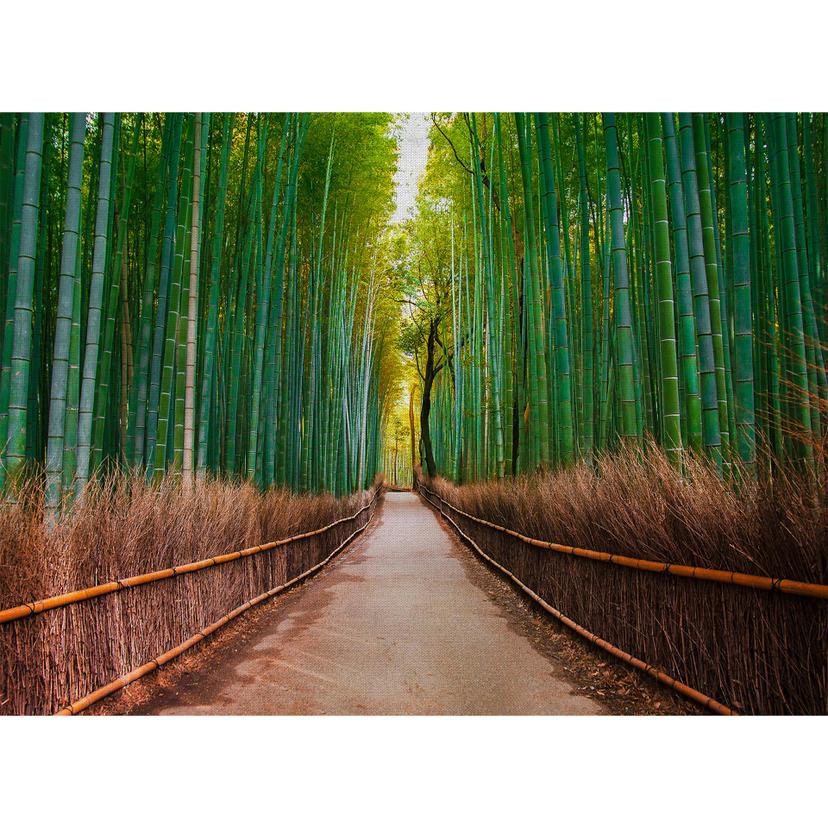 Livingwalls Fotomurale Designwalls - Foresta di bambù