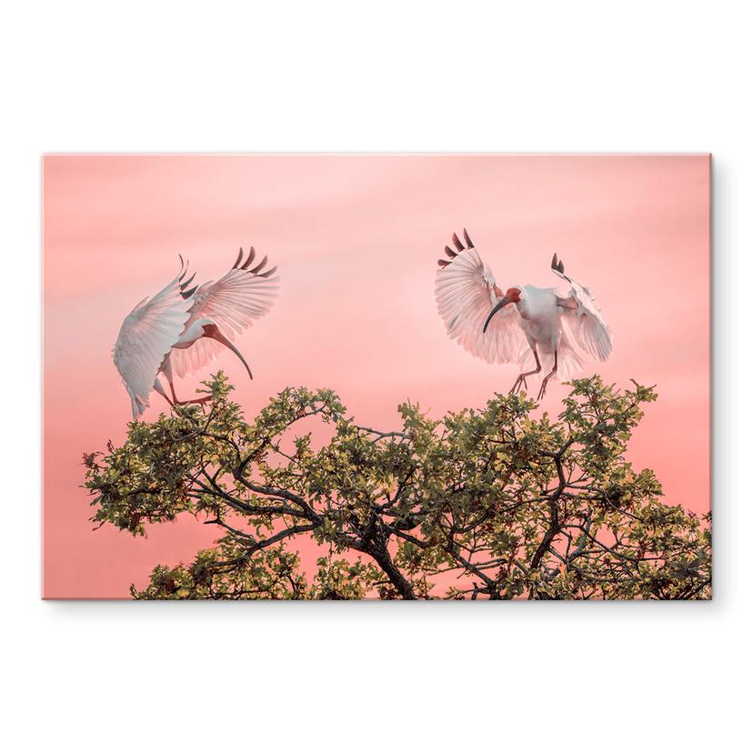 Akrylbillede Zhao - Birds at Sunset