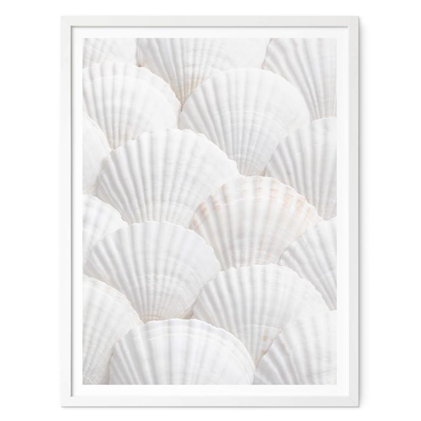 Póster 1X Studio - Conjunto Shell