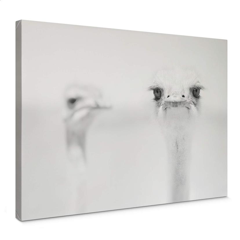 Canvasbillede - Tonti - Moment