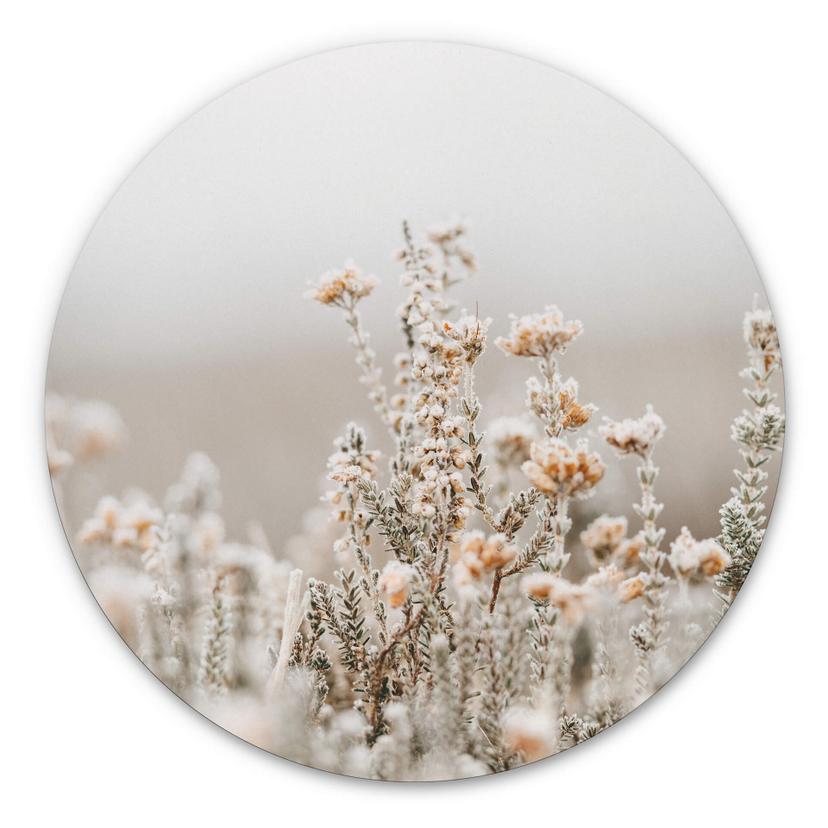 Tableau sur alu-Dibond Annie - Fleurs de glace - Rond