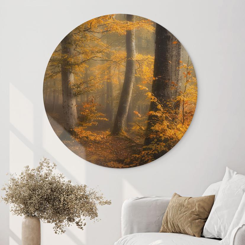 Stampe per pareti Foglie d'oro in una foresta nebbiosa - Maier - Alu-Dibond Round