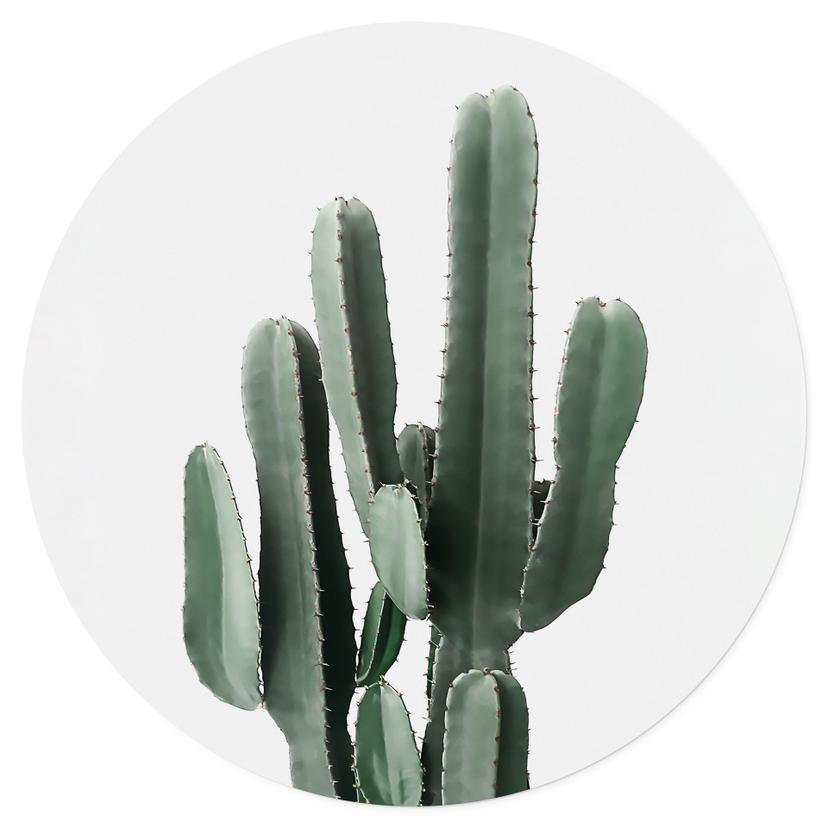 Adesivo murale Pianta di cactus - Sisi & Seb