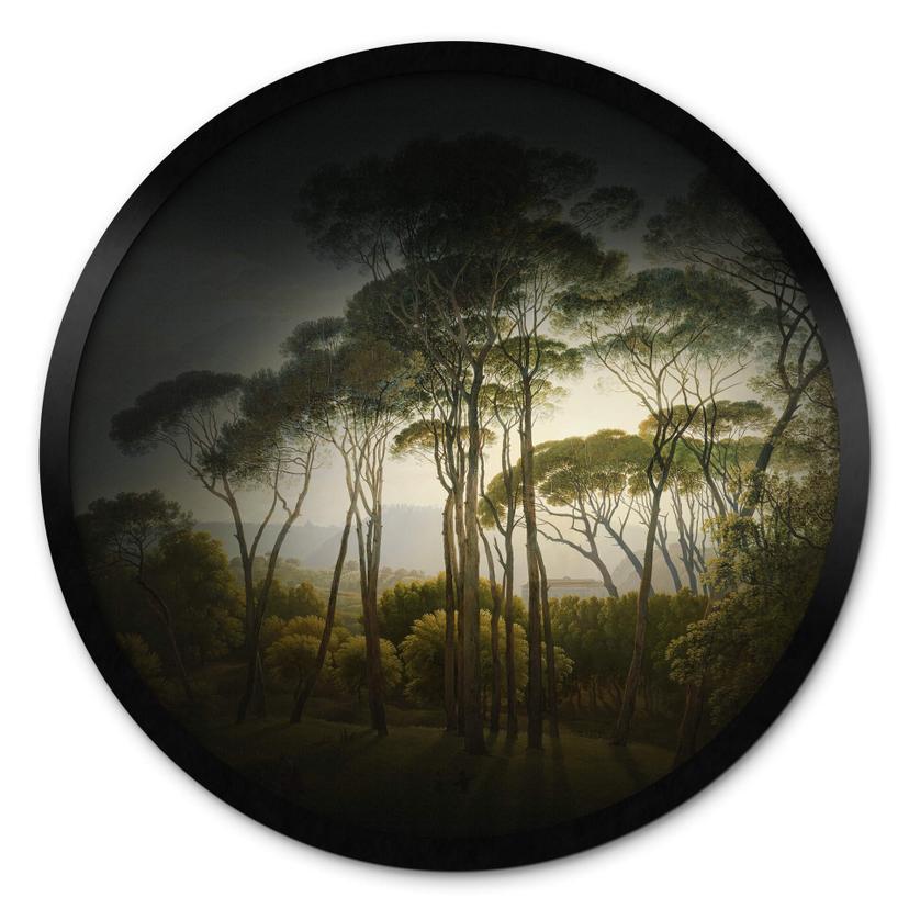 Póster paraguas pinos con viñeteado - Redondo