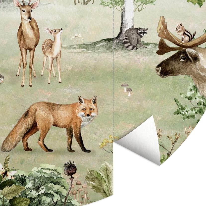 Fotomurale tondo Kikki Belle - Miracolo nella foresta - carta da parati in tessuto non tessuto/carta