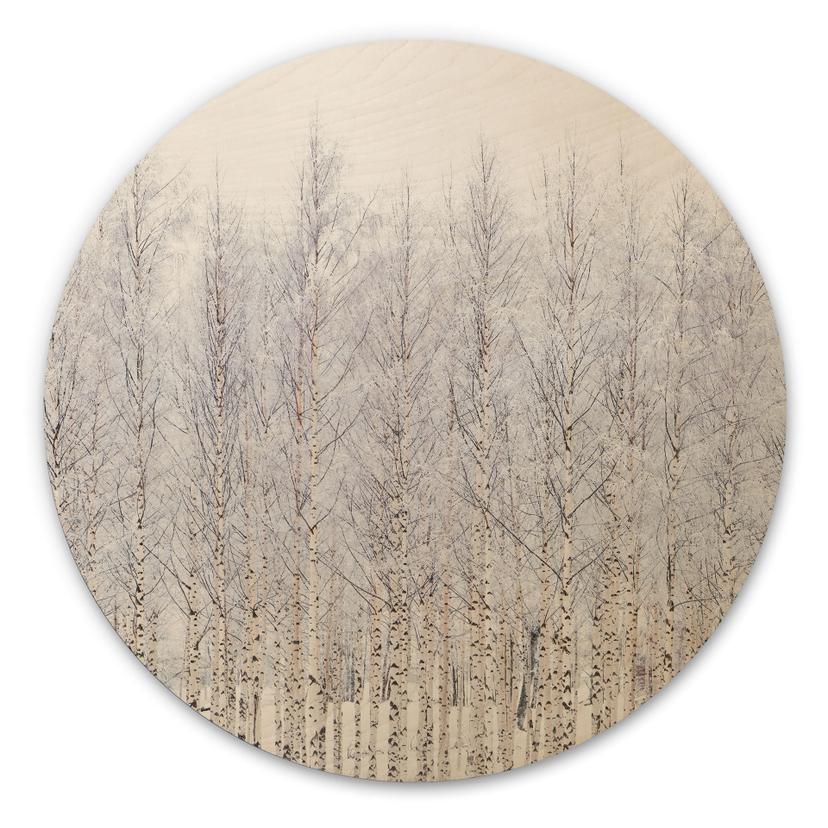 Cuadro de madera bosque de abedules en invierno - EMELIEmaria - Redondo