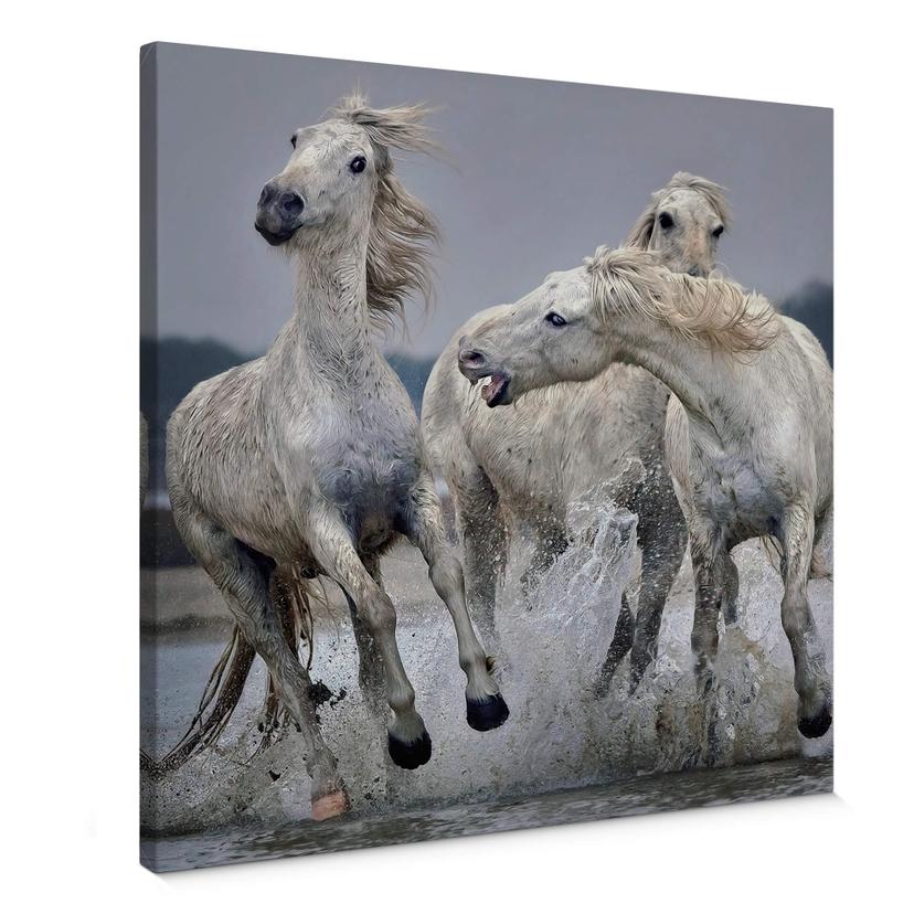 Canvasbillede - Keates - Move Over