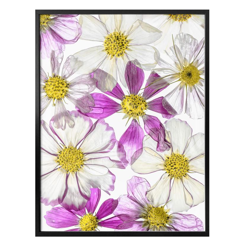 Plakat - Disher - Keeping Summer