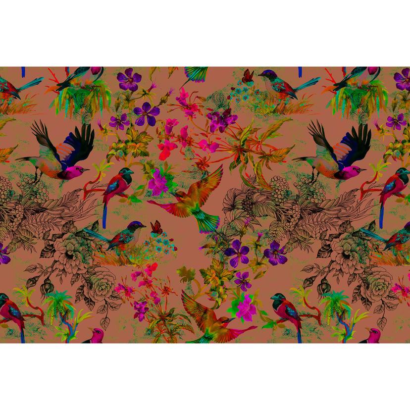 Fotomural Paredes de Patel funky birds 3