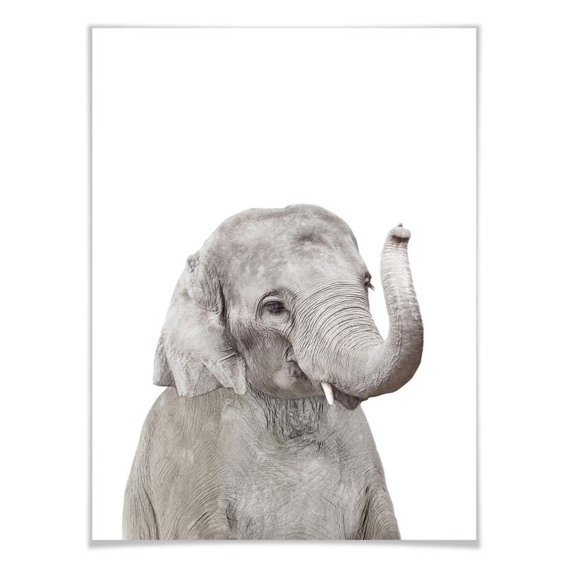 Poster Sisi & Seb - Baby Elefante