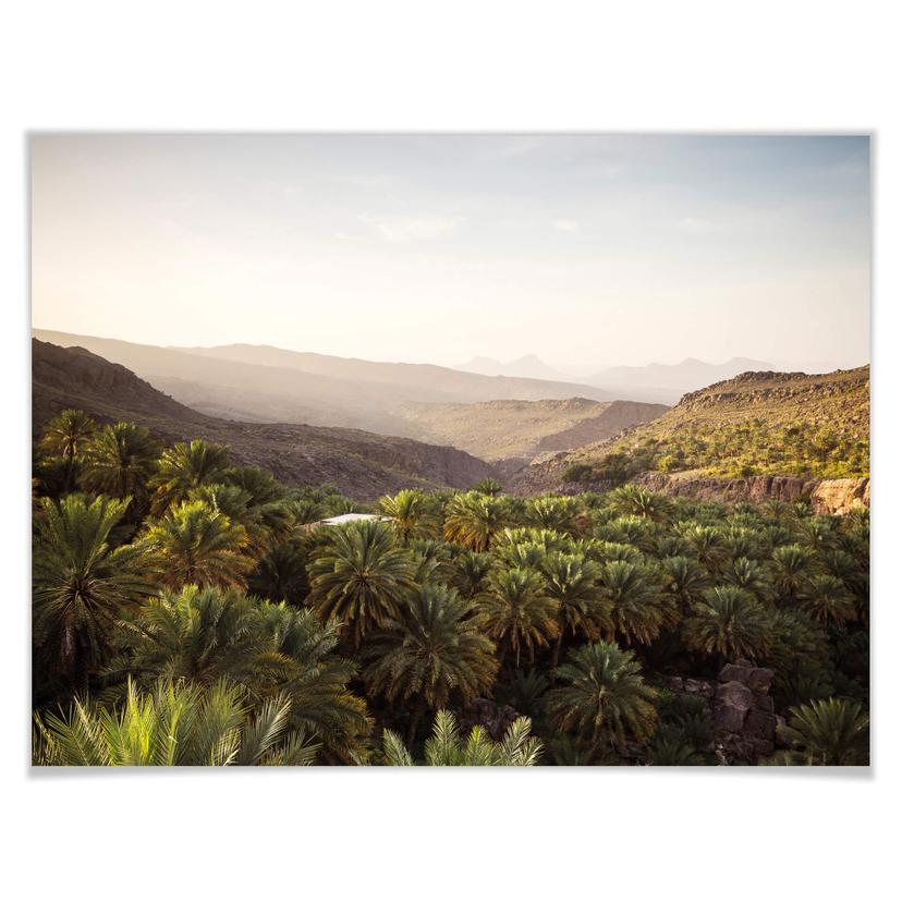 Poster Colombo - Oasi in Oman