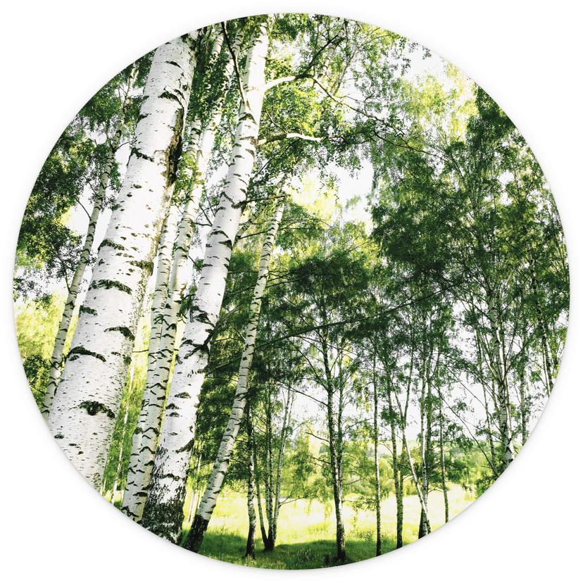 Sunshine Forest - Rund Fototapet - non-woven tapet/självhäftande non-woven tapet
