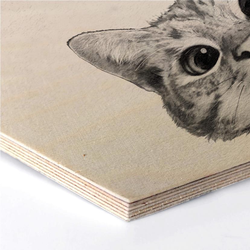 Esagoni legno Graves - Sneaky Cat