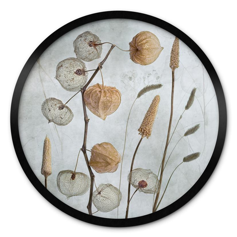 Plakat Tørrede lanterneblomster - Disher